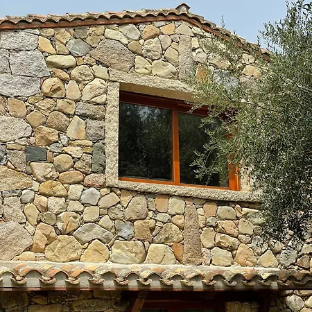 Dante * كاستياداس