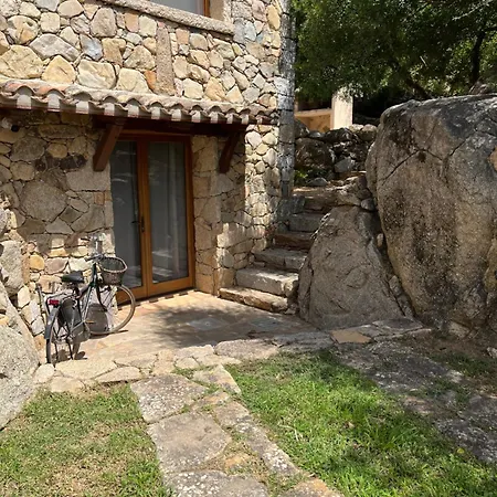 Dante * كاستياداس