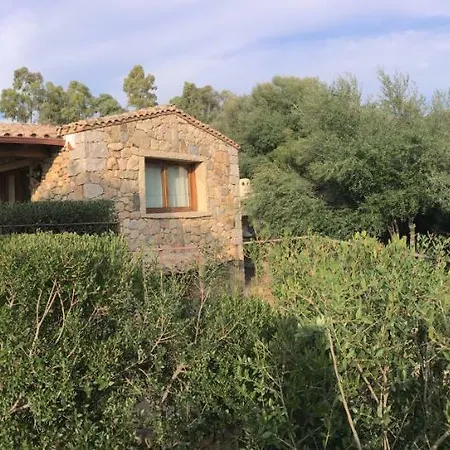 Dante كاستياداس