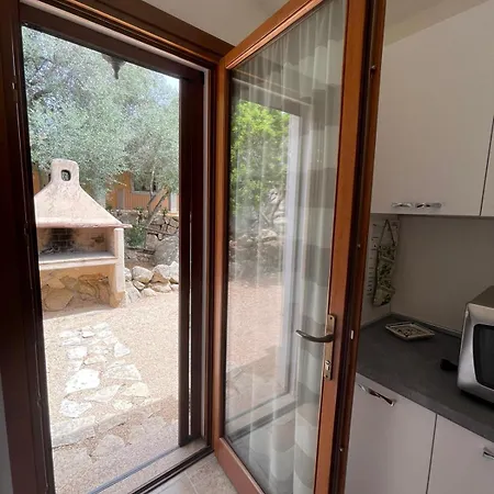 Dante Vila Castiadas